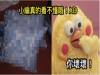 媽媽把「新買的枕頭」放在沙發上,兒子看了10秒後竟忍不住「崩潰大笑」!是男人的話大家都會「奸笑」吧XD