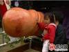 盤點變態日本夫妻文化