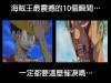 《海賊王》裡最讓你震撼的瞬間是哪一個?