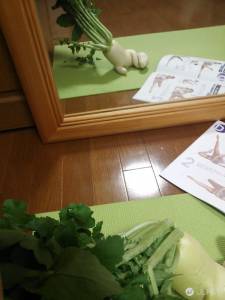 「農家大根逃走中!!」長出手腳的白蘿蔔糾竟下場會如何呢?