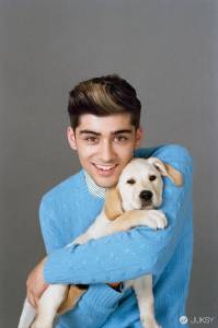One Direction 成員 Zayn Malik 在Twitter 上公佈了新髮型照後 女歌迷用「#殺了我吧」分享了他的自拍照