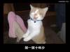 笑一笑,十年少