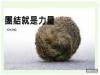 給客戶設計了一張海報,大家說我是不是天才...