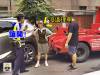 「膽敢」拖我車,老娘就拿「命」跟你拚,究竟「違停」車主在場時,拖吊車能不能「執行」拖吊任務?