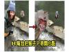 上網跪求神人P圖,果不其然被人惡搞!8個「超爆笑PS修圖」照片! 6完全符合美人魚要求啊!