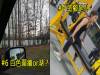 邏輯爆炸!8張「超燒腦才能看懂」的錯位照片! 5 已經看到頭痛還是看不懂,到底是不是「連體嬰」啊!