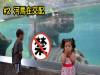 超瘋狂的動物園一日遊!7張你「此生可能再也看不到第2次」的動物失控照,拜託 5 不要又交配了!