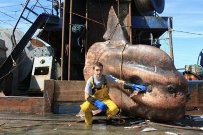 俄羅斯漁夫又在深海打撈奇特魚種，要不他這輩子絕對不知道有這種魚存在