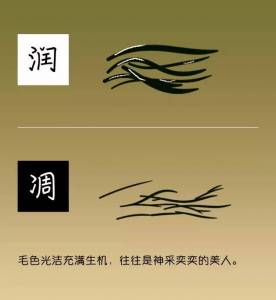 日本人發明了毛相學，從「下面」推斷你的性格，每一叢都不一樣！