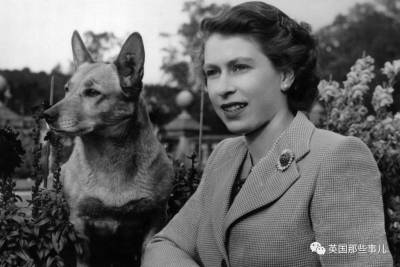 英國女王「家裡養的寵物可以直接開動物園」絕對不誇張！狂到連「鱷魚寶寶 棕熊」都可以養...