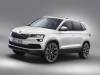 中型SUV新主力公開,SKODA KAROQ 預計年底來台!