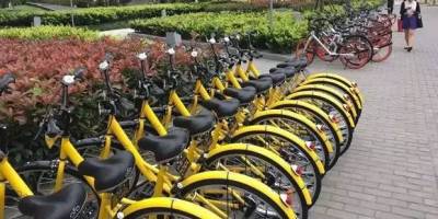 荷蘭發明家「利用中國共享單車消滅霧霾問題」超有想法！邊騎腳踏車「就能當空氣清淨機」拯救地球！