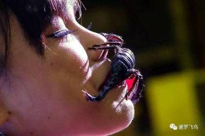 打破世界紀錄的她與5000隻活毒蠍共處33天裡，她被咬到13次，沒想到最後卻在記者會上...