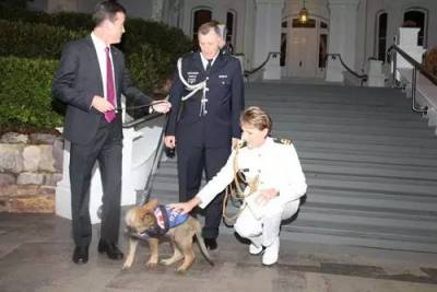 對人太友好，這小警犬就這麼被警隊給炒了...最後小奶狗做出這樣的抗議反擊