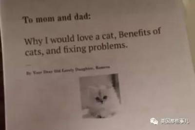 為了養貓，寫了6頁的論文給爹媽，這有理有據的我都服了啊！！