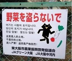 日本街頭這些「奇怪的中文」，絕對讓你忍笑忍到內傷！