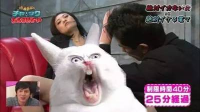日本最奇葩的10大電視節目，不光辣眼睛，而且毀三觀！
