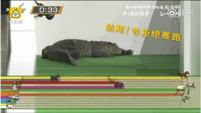 日本人搞了一場12生肖賽跑大賽，獲得冠軍的竟然是......