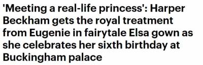 為了給小七慶祝生日，小貝這一次把生日趴地點定在了白金漢宮....最後還請來真的公主
