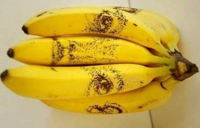 香蕉為什麼是彎的？知道這個真相後的我淚流滿面....