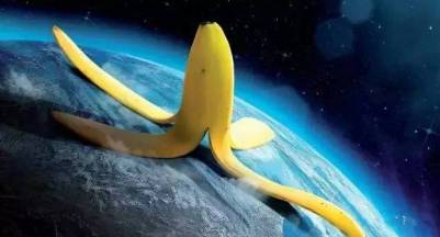 香蕉為什麼是彎的？知道這個真相後的我淚流滿面....