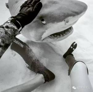 18歲時 他被鯊魚咬斷了一條腿…18年後 他依然在跟鯊魚們各種浪…