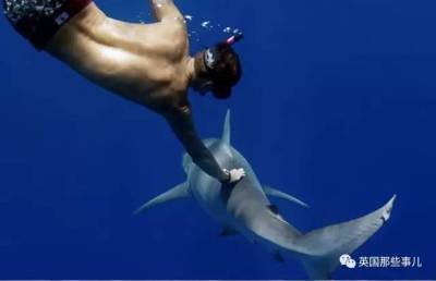 18歲時 他被鯊魚咬斷了一條腿…18年後 他依然在跟鯊魚們各種浪…