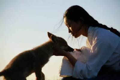 她是「中國第一狼女」，與狼七年的傳奇故事令人感動，而她用生命和愛只是為了告訴我們···