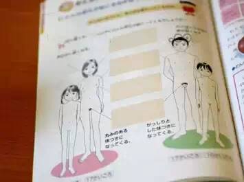 性教育難以啟齒？！日本是這樣做的……