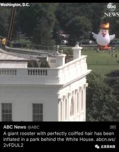 太原這隻雞凹了個造型，一夜之間紅遍全球，還火到了美國白宮...
