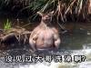 野外突然看到只兩米高的肌肉袋鼠在洗澡??還能怎樣啊!! 當場落跑啊!!
