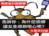 告訴你為什麼蟑螂會讓我們覺得噁心!