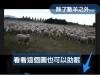 失眠嗎?除了數羊聽海聲之外你還有這個選擇