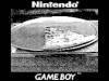 用Game Boy拍出來的懷舊照片，這個質感好棒！