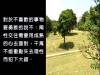 愛情先修班青春四人行-性教育教學|健康九九網站