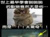 科學家終於找到了世界上最早學會啪啪啪的動物…..