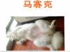 人類史上最殘忍發明!你...中招了嗎?