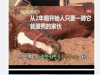 韓國有一匹賊賊的馬,一要騎他就裝暈倒,但拿東西給他吃又忍不住吃起來~~太萌啦!!