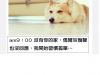 狗狗的一天,太催淚了!!慎入……沒想到寶貝在家是這樣…