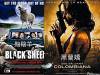 網友評選台灣超爛片名!(Black Sheep)>《黯陰羊》…