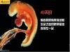 攝影師記錄從接吻到生子,造人做的那些事!我們就是這樣來的!太不可思議了!
