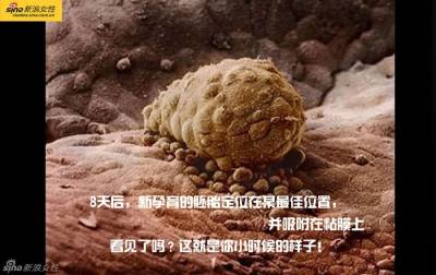 攝影師記錄從接吻到生子,造人做的那些事!我們就是這樣來的!太不可思議了!