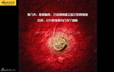 攝影師記錄從接吻到生子,造人做的那些事!我們就是這樣來的!太不可思議了!