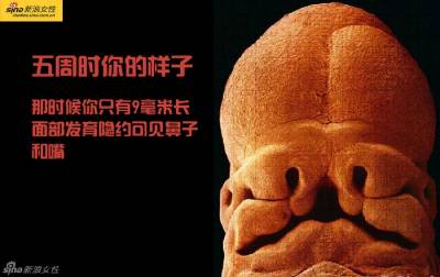 攝影師記錄從接吻到生子,造人做的那些事!我們就是這樣來的!太不可思議了!