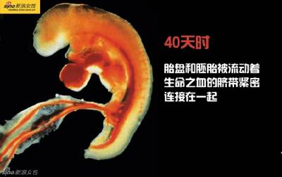 攝影師記錄從接吻到生子,造人做的那些事!我們就是這樣來的!太不可思議了!