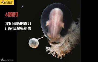 攝影師記錄從接吻到生子,造人做的那些事!我們就是這樣來的!太不可思議了!