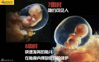 攝影師記錄從接吻到生子,造人做的那些事!我們就是這樣來的!太不可思議了!