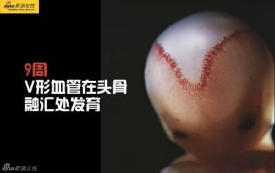 攝影師記錄從接吻到生子,造人做的那些事!我們就是這樣來的!太不可思議了!