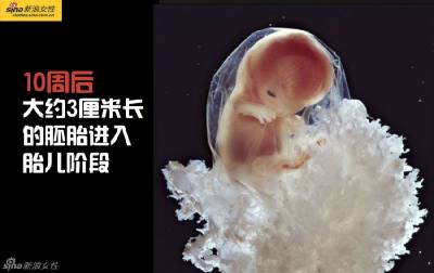 攝影師記錄從接吻到生子,造人做的那些事!我們就是這樣來的!太不可思議了!