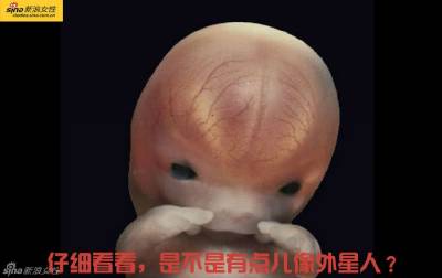 攝影師記錄從接吻到生子,造人做的那些事!我們就是這樣來的!太不可思議了!